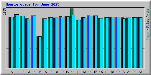 Hourly usage for June 2025