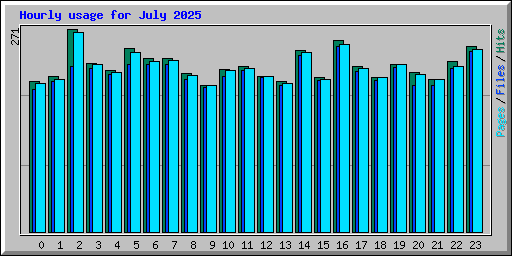 Hourly usage for July 2025