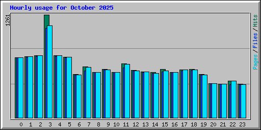 Hourly usage for October 2025