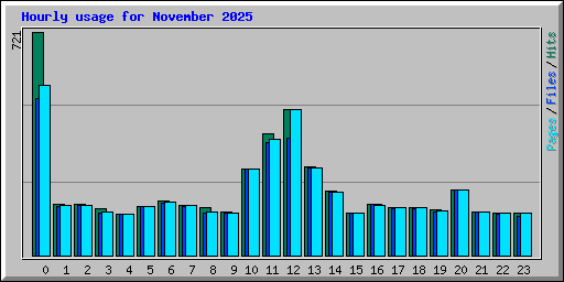 Hourly usage for November 2025