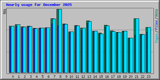 Hourly usage for December 2025