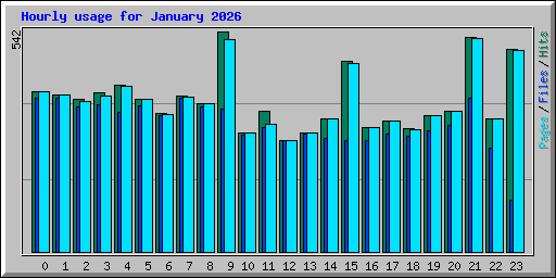 Hourly usage for January 2026