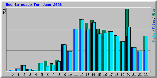 Hourly usage for June 2026